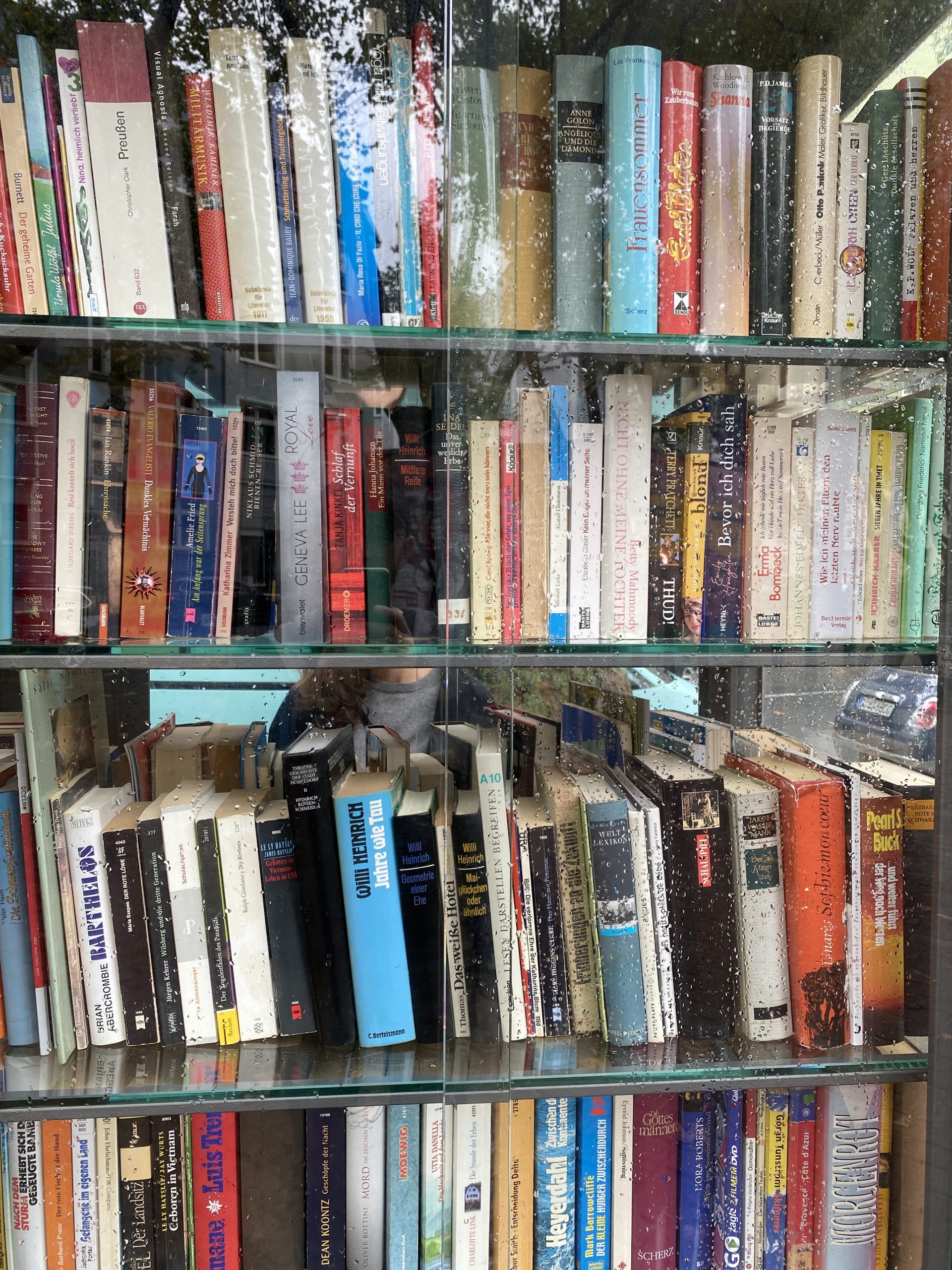 Bücherboxen – Die Uni für alle im öffentlichen Raum?