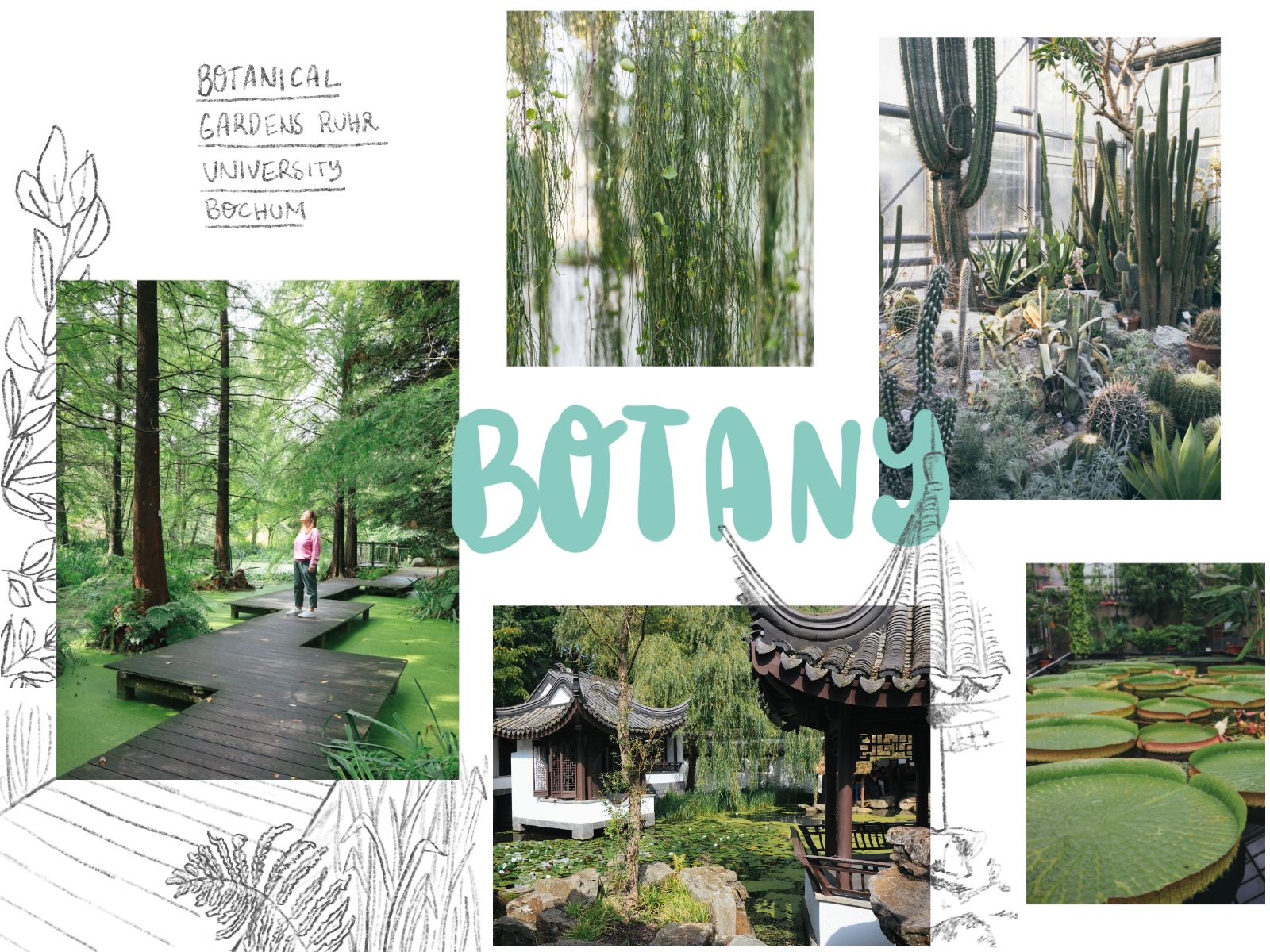 Botany Bochum